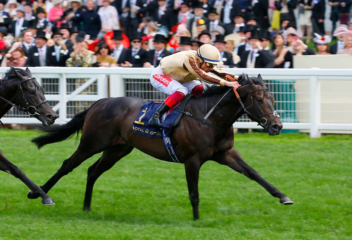 A'Ali to stand at Newsells Park Stud in 2022 - Newsells Park Stud